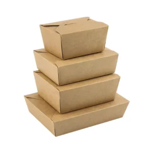 Fast Food Chinese Food Kraft Paper Container Box with Printing