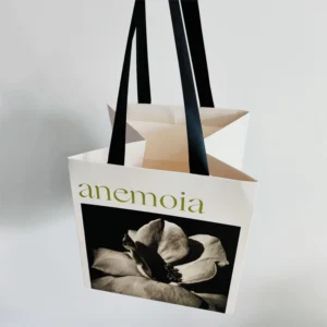 Flower Carry Paper Bag