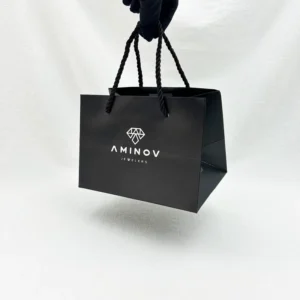 Foldable Custom Paper Shopping Gift Bags with Logo