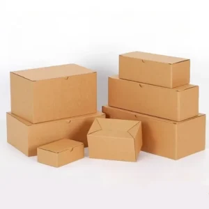 Folding Corrugated Cardboard Mailing Gift Box for Shipping