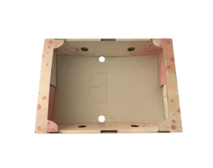 Folding Paper Fruit Packaging Box with Packing and Display Tray Design