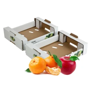 Food-Grade Corrugated Paper Fruit and Vegetable Shipping Carton Box