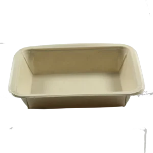 Food Grade Disposable Paper Food Tray