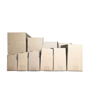 Food-Grade Hard Corrugated Cardboard Moving and Postal Cartons with Foam