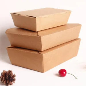 Food Grade Waterproof Biodegradable Recyclable Kraft Paper Box with Folder Style, Embossing, and Custom Packaging for Sushi