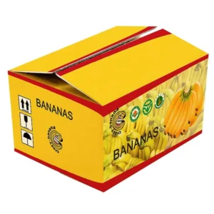 Fresh Fruit Apple Carton Box Cardboard Box for Fruit and Vegetable