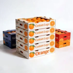 Fresh Fruit Carton Sustainable Paper Orange Fruit Shipping Box with International Certificate