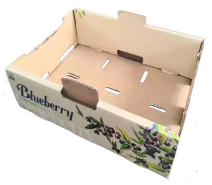 Fresh Fruit Corrugated Paper Carton Box