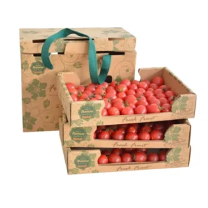 Fruit and Vegetable Delivery Carton Box, Fruit Packing Box, Fruit Gift Box