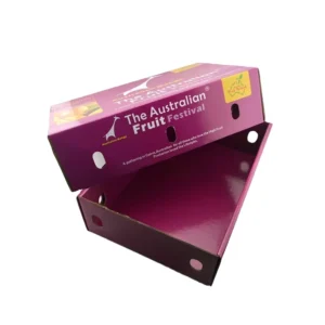 Good Quality Color Printing Packaging Fruit Corrugated Paper Packaging Box