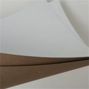 Grade AA 140gsm 170gsm Recyclable White Top Kraft Liner Paper for Packaging Double Sided Coated Synthetic Paper Biodegradable PE