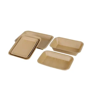 Greaseproof Waterproof Disposable Kraft Paper Food Tray for Parties