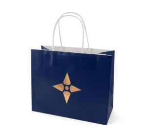 Handled Custom Printed Paper Bags Personalized Shopping Gift Packaging for Retail Boutique Brand Store