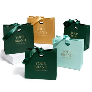 Handmade Eco-Friendly Custom Printed Luxury Paper Gift Bag with Ribbon Handle for Jewelry and Gifts