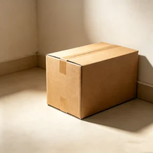 Heavy Duty Corrugated Shipping Box Moving Carton with Custom Logo Board Mailer Packaging