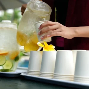High Quality Custom Color Bubble Tea Degradable Double Wall Coffee Paper Cup
