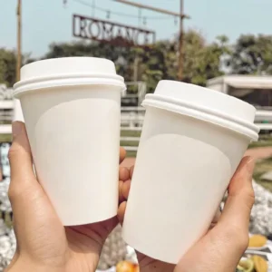 High Quality Disposable Single Wall Craft Paper Compostable Recyclable Coffee Cup for Hot Drinks