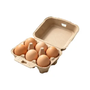 High Quality Multi Size 6 Hole Portable Pulp Egg Tray Eco Friendly Biodegradable Food Packaging Large Quantity Discount