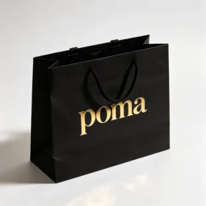 High Quality OEM Custom Design Black Paper Shopping Gift Bag for Holiday