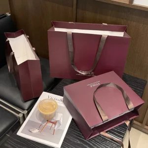 High end Eco Friendly Biodegradable Custom Logo Classic Women’s Clothing Packaging Gift Paper Bag Ribbon Handle For Promotion