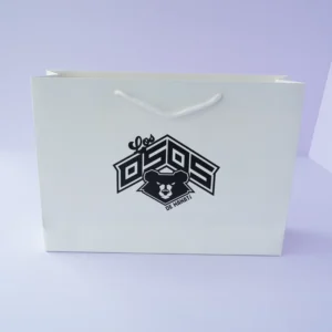 Ivory Recyclable Cardboard Gift Bag with Custom Logo, Art Paper, Long Handles for Supermarket and Flour Feed