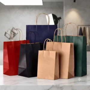 Kraft Paper Bag Custom Printed Shopping Gift Takeaway Food Paper Bag with Twisted Handles