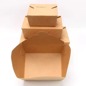 Kraft Paper Box Custom Logo Fast Food Packaging for Lunch Takeout Dessert Sushi Foldable Container