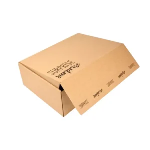 Kraft Paper Corrugated Mailing Box with Custom Logo Printing, Brown, for Apparel and Cosmetics