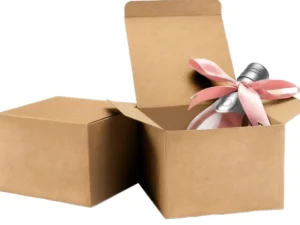 Kraft Paper Embossed Biodegradable Folding Box with Gold Foil for Gift Packaging