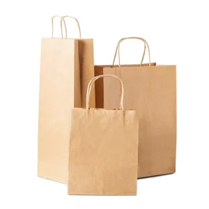 Kraft Paper Gift Shopping Bag with Handle for Grocery Use Eco-Friendly Biodegradable Custom Factory