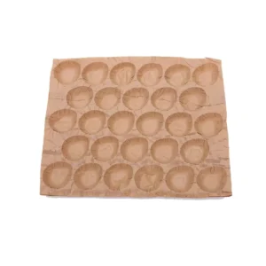 Kraft Paper Molded Liner and Carton Insert for Avocados