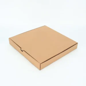 Kraft Paper Pizza Box Food Grade Takeout Food Packaging Box
