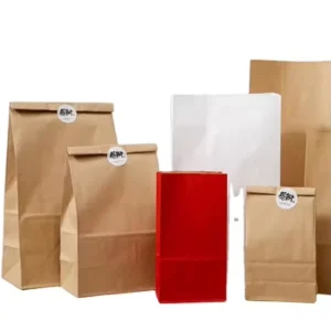 Kraft Paper Storage Bags to Meet Your Needs