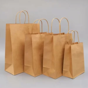 Kraft Paper Takeaway Bags with Cup Holder, Custom Printed for Restaurants