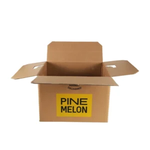 Large Corrugated Kraft Paper Shipping Box with Color Printing and Logo
