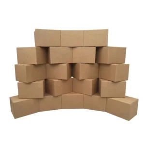 Large Custom Printed Brown Kraft Corrugated Moving Shipping Carton