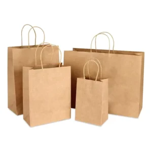 Low Moq Hot Sell Biodegradable Brown Kraft Paper Gift Shopping Packaging Disposable Bag With Handle