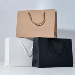 Low Price Custom Printed Luxury Kraft Gift Paper Shopping Bags for Clothes