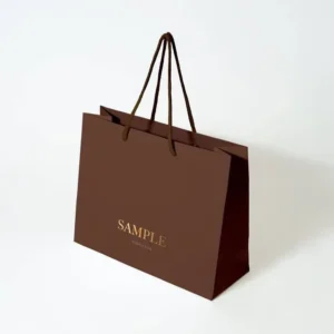 Luxury Art Paper Eco-Friendly Biodegradable Recyclable Food Packaging Gift Shopping Bags Cotton Rope Handles Custom