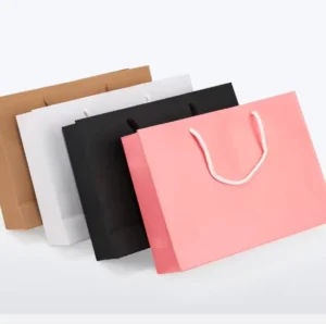 Luxury Custom Printed Laminated Shopping Gift Packaging Paper Bag With Your Own Logo