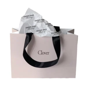 Luxury Custom Retail Gift Paper Bag for Clothing Packaging