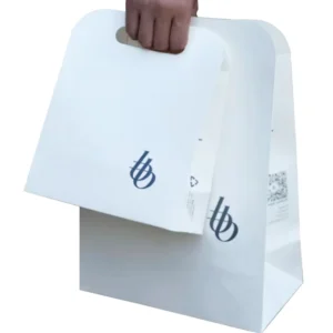 Luxury Fashion White Card Paper Bag for Business Luxury Gift Shopping Commercial Lamination Handbag for Supermarkets