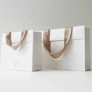 Luxury Gift Paper Bag White Card Paper Bags with Different Handle Options and Custom Printing for Brand Shops