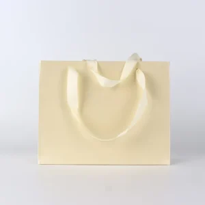 Luxury Paper Bag Custom Logo Printed Eco Kraft Paper Cloth Garment Perfume Packaging Gift Shopping Bag With Rope Handle
