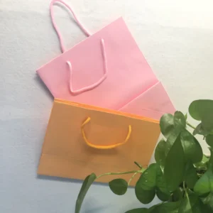 Luxury Paper Bag Custom Printed logo Luxury Clothing Shopping Paper Bags Boutique Recyclable Gift Bag With Rope