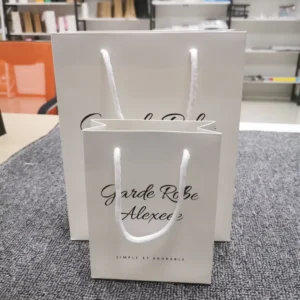 Luxury Recycled White Card Paper Shopping Bag for Packaging Gift with Rope Handle