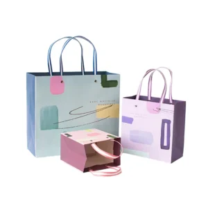 Luxury Shopping Coated Paper Bags with Custom Logo Printed Recyclable Hand Length Handle for Gift Packaging