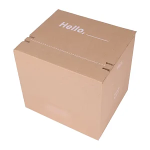 Luxury Zippered Paper Boxes & Corrugated Cartons Premium Finish With Custom Branding For High End Goods