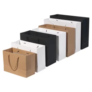 Matt Finish White Paper Shopping Bag