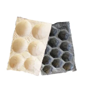 Multi-Cavity Kraft Paper Fruit Tray Liner Colorful Insert Packaging for Fruit Trays Supplier